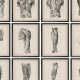 Anatomy's Art: Vintage Anatomy Posters & Prints | Vintage Treasures: Discover Rare Antiques, Collectibles & Retro Finds