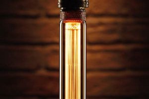 Retro Glow: Vintage Bulb Lamps for Timeless Style Vintage Treasures: Discover Rare Antiques, Collectibles & Retro Finds Retro Glow: Vintage Bulb Lamps for Timeless Style | Vintage Treasures: Discover Rare Antiques, Collectibles & Retro Finds