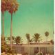 Buy Vintage Palm Springs Posters: Art & Decor | Vintage Treasures: Discover Rare Antiques, Collectibles & Retro Finds
