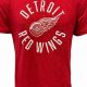 Authentic Vintage Red Wings T Shirt: A Collector's Find | Vintage Treasures: Discover Rare Antiques, Collectibles & Retro Finds