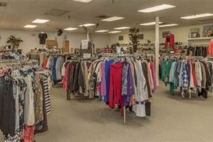 Shop Rare Finds: Vintage Stores in Tampa Bay Style Vintage Treasures: Discover Rare Antiques, Collectibles & Retro Finds Shop Rare Finds: Vintage Stores in Tampa Bay Style | Vintage Treasures: Discover Rare Antiques, Collectibles & Retro Finds