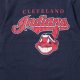 Buy Vintage Cleveland Indians Shirts: History on Your Back | Vintage Treasures: Discover Rare Antiques, Collectibles & Retro Finds