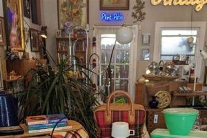 Shop Classic: Vintage Clothing San Diego Finds Vintage Treasures: Discover Rare Antiques, Collectibles & Retro Finds Shop Classic: Vintage Clothing San Diego Finds | Vintage Treasures: Discover Rare Antiques, Collectibles & Retro Finds