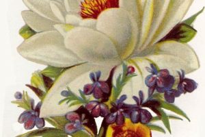 Retro Bloom: Vintage Floral Clip Art Designs Vintage Treasures: Discover Rare Antiques, Collectibles & Retro Finds Retro Bloom: Vintage Floral Clip Art Designs | Vintage Treasures: Discover Rare Antiques, Collectibles & Retro Finds