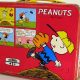 Collecting Peanuts Lunch Box Vintage: A Nostalgic Treat | Vintage Treasures: Discover Rare Antiques, Collectibles & Retro Finds