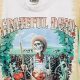 Buy Vintage Grateful Dead Shirts: Rare Band Tees | Vintage Treasures: Discover Rare Antiques, Collectibles & Retro Finds