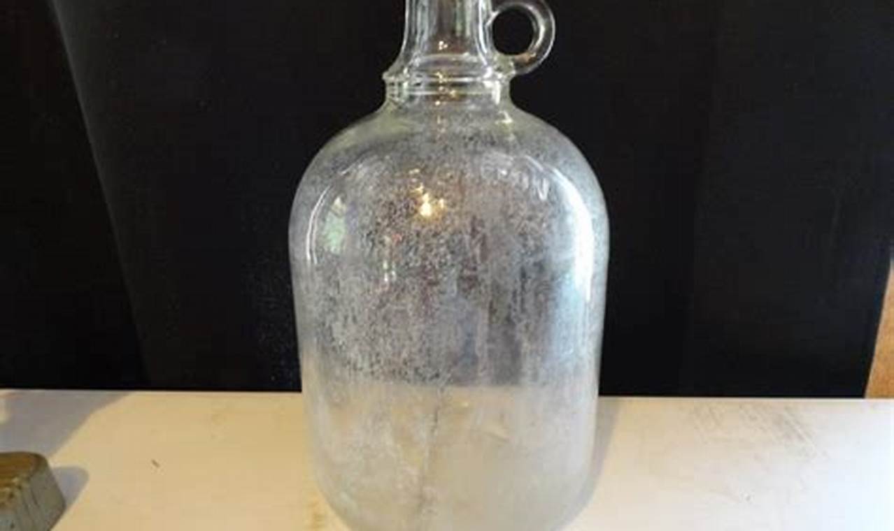 Buy Antique One Gallon Glass Jugs: History in a Bottle! Vintage Treasures: Discover Rare Antiques, Collectibles & Retro Finds Buy Antique One Gallon Glass Jugs: History in a Bottle! | Vintage Treasures: Discover Rare Antiques, Collectibles & Retro Finds