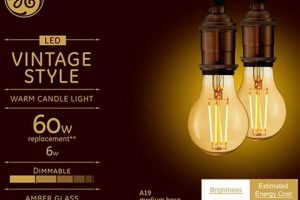 Retro Shine: Vintage Style LED Light Bulbs Today | Vintage Treasures: Discover Rare Antiques, Collectibles & Retro Finds