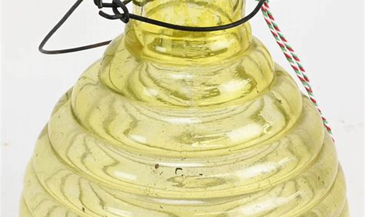 Antique Charm: Vintage Glass Fly Trap for Collectors | Vintage Treasures: Discover Rare Antiques, Collectibles & Retro Finds