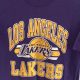 Rare Vintage Lakers Shirt: Style & History! | Vintage Treasures: Discover Rare Antiques, Collectibles & Retro Finds