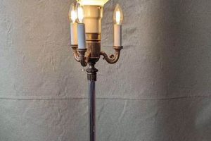 Illuminate with Vintage Floor Lamps: Timeless Style | Vintage Treasures: Discover Rare Antiques, Collectibles & Retro Finds