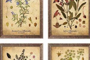 Timeless Vintage Botanical Framed Art Prints + Decor | Vintage Treasures: Discover Rare Antiques, Collectibles & Retro Finds