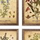 Timeless Vintage Botanical Framed Art Prints + Decor | Vintage Treasures: Discover Rare Antiques, Collectibles & Retro Finds