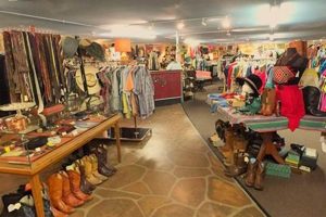 Shop Low Vintage Clothing, Records & Antiques Finds! | Vintage Treasures: Discover Rare Antiques, Collectibles & Retro Finds