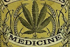 Collecting Vintage Cannabis Posters: Art & History | Vintage Treasures: Discover Rare Antiques, Collectibles & Retro Finds