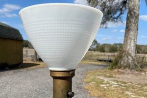 Illuminate with Vintage: Glass Shades for Floor Lamps | Vintage Treasures: Discover Rare Antiques, Collectibles & Retro Finds