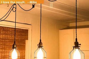 Plug In & Shine: Vintage Pendant Lights for Easy Style Vintage Treasures: Discover Rare Antiques, Collectibles & Retro Finds Plug In & Shine: Vintage Pendant Lights for Easy Style | Vintage Treasures: Discover Rare Antiques, Collectibles & Retro Finds