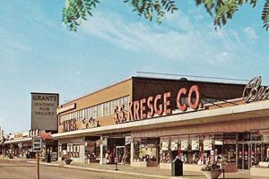 Shop Classic Vintage Stores in Milwaukee, WI | Vintage Treasures: Discover Rare Antiques, Collectibles & Retro Finds