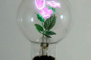 Shop Retro Floral Bulbs: Vintage Light Bulbs with Flowers Inside | Vintage Treasures: Discover Rare Antiques, Collectibles & Retro Finds