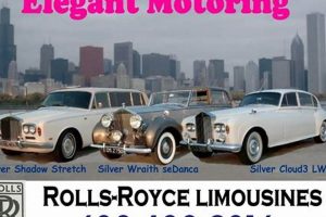 Drive the Dream: Vintage Car Rental Chicago - Explore Vintage Treasures: Discover Rare Antiques, Collectibles & Retro Finds Drive the Dream: Vintage Car Rental Chicago - Explore | Vintage Treasures: Discover Rare Antiques, Collectibles & Retro Finds