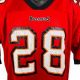 Relive Bucs Glory: Tampa Bay Buccaneers Vintage Jersey Collection | Vintage Treasures: Discover Rare Antiques, Collectibles & Retro Finds
