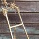 Display: Timeless Vintage Brass Easel Stands & More | Vintage Treasures: Discover Rare Antiques, Collectibles & Retro Finds