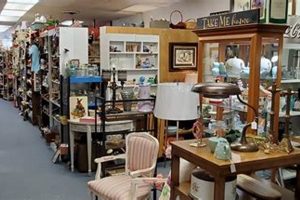 Best Vintage Stores Knoxville TN: Find Your Treasure! | Vintage Treasures: Discover Rare Antiques, Collectibles & Retro Finds