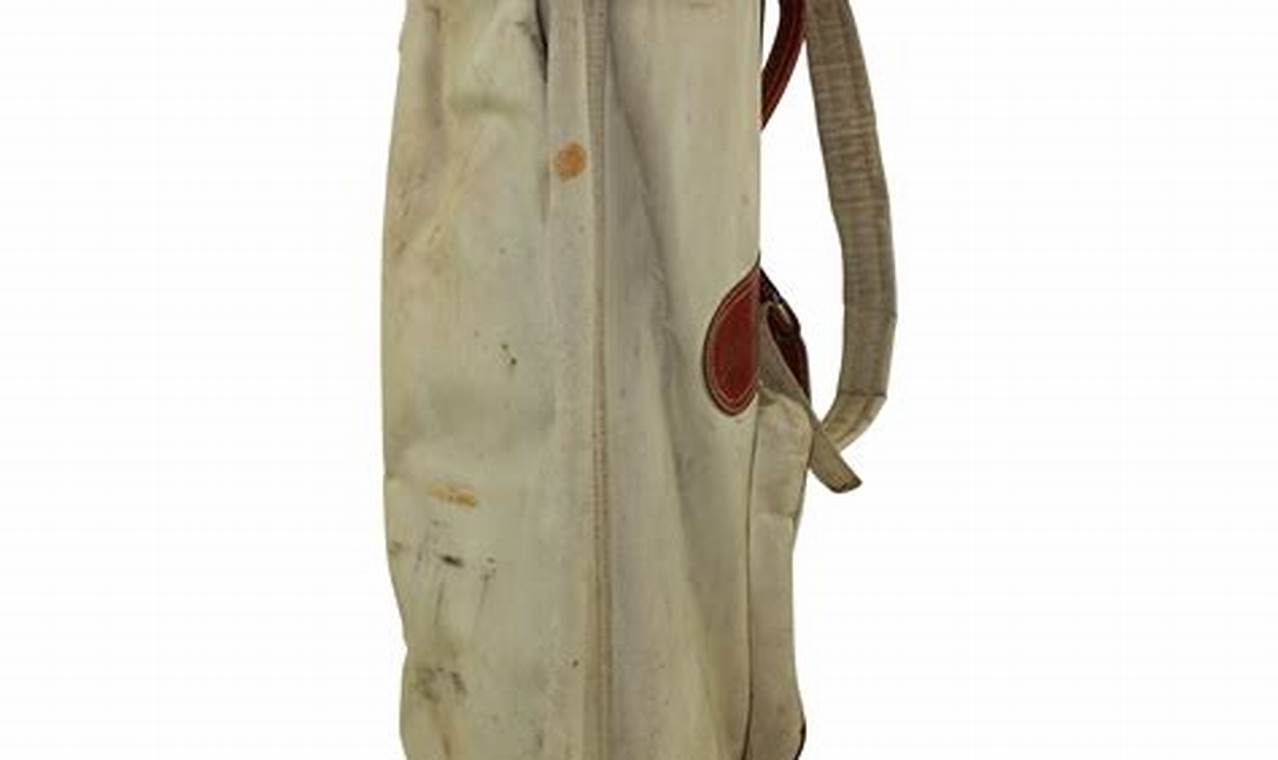 Own a Piece of History: Vintage Wilson Golf Bag Collection | Vintage Treasures: Discover Rare Antiques, Collectibles & Retro Finds