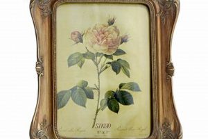 Timeless Treasures: Vintage Glass Picture Frames Decor | Vintage Treasures: Discover Rare Antiques, Collectibles & Retro Finds