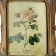 Timeless Treasures: Vintage Glass Picture Frames Decor | Vintage Treasures: Discover Rare Antiques, Collectibles & Retro Finds