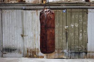 Old School Boxing: Vintage Punching Bag For Sale | Vintage Treasures: Discover Rare Antiques, Collectibles & Retro Finds