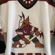 Buy Vintage Coyotes Jerseys: Past to Present Collection | Vintage Treasures: Discover Rare Antiques, Collectibles & Retro Finds