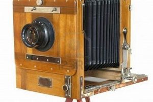 Collectible: Vintage Camera Box Guide & Values | Vintage Treasures: Discover Rare Antiques, Collectibles & Retro Finds