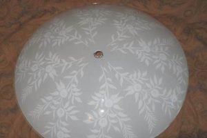 Restore Vintage Style: Glass Ceiling Light Covers | Vintage Treasures: Discover Rare Antiques, Collectibles & Retro Finds