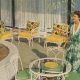 Guide to Vintage Woodard Patio Furniture Catalogs: History & Value | Vintage Treasures: Discover Rare Antiques, Collectibles & Retro Finds
