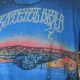 Rare Grateful Dead Shirts Vintage | Authentic & Cool | Vintage Treasures: Discover Rare Antiques, Collectibles & Retro Finds
