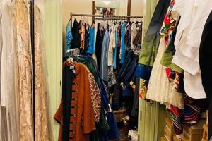 Shop Retro: Vintage Clothing Tampa Bay Finds | Vintage Treasures: Discover Rare Antiques, Collectibles & Retro Finds