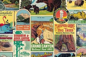 Shop Iconic National Park Vintage Posters Today! Vintage Treasures: Discover Rare Antiques, Collectibles & Retro Finds Shop Iconic National Park Vintage Posters Today! | Vintage Treasures: Discover Rare Antiques, Collectibles & Retro Finds