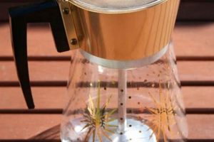 Brewing Beauty: Vintage Glass Coffee Pot Guide | Vintage Treasures: Discover Rare Antiques, Collectibles & Retro Finds