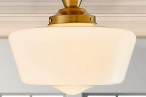 Illuminate with Vintage: Schoolhouse Lights for Today! Vintage Treasures: Discover Rare Antiques, Collectibles & Retro Finds Illuminate with Vintage: Schoolhouse Lights for Today! | Vintage Treasures: Discover Rare Antiques, Collectibles & Retro Finds