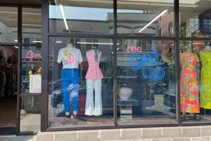 Shop Ann Arbor Vintage Clothing: Unique Finds! | Vintage Treasures: Discover Rare Antiques, Collectibles & Retro Finds