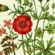 Timeless Vintage Botanical Art Prints & Decor | Vintage Treasures: Discover Rare Antiques, Collectibles & Retro Finds