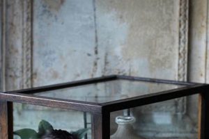 Buy Vintage Glass Display Boxes: Cases & Curios! | Vintage Treasures: Discover Rare Antiques, Collectibles & Retro Finds