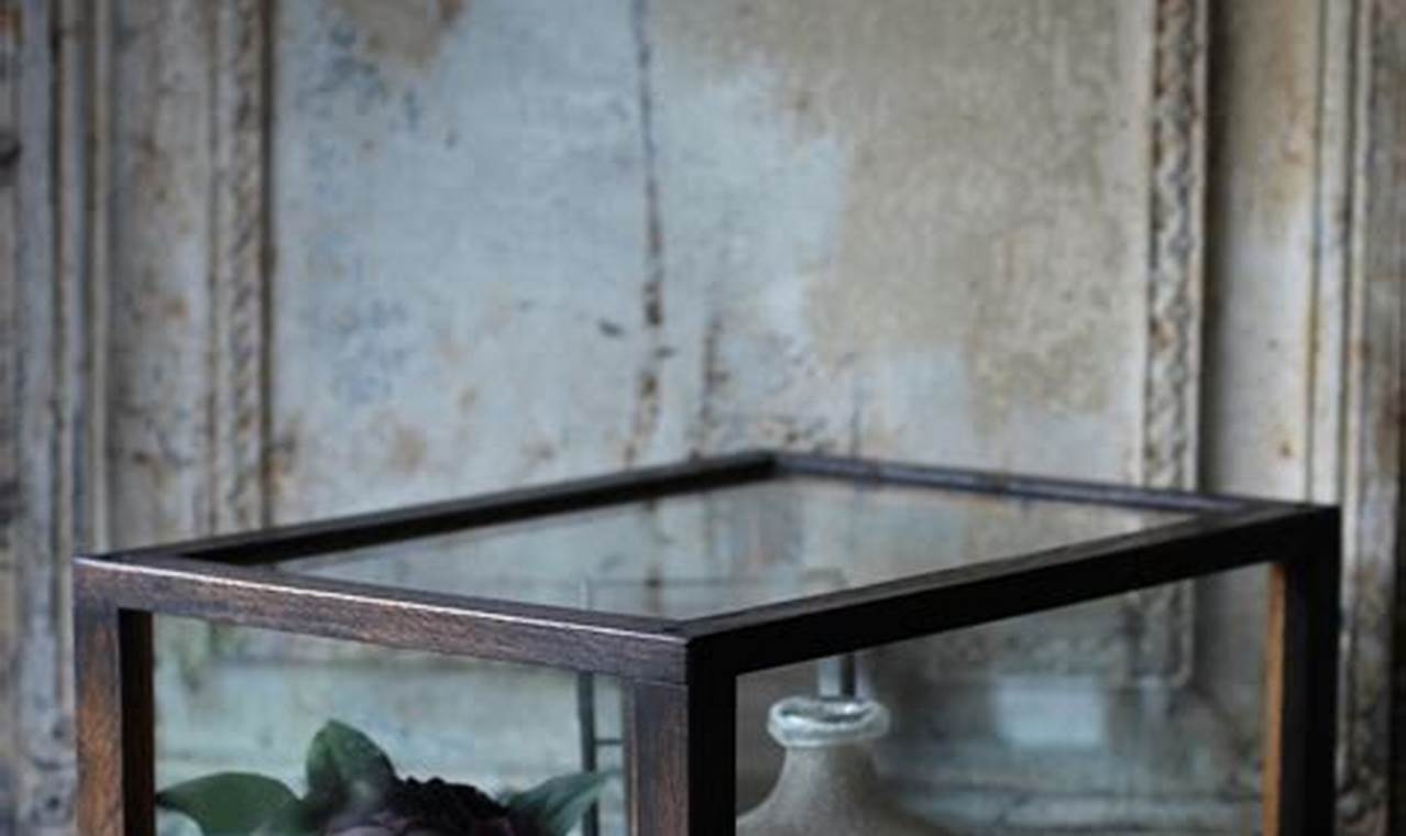 Buy Vintage Glass Display Boxes: Cases & Curios! | Vintage Treasures: Discover Rare Antiques, Collectibles & Retro Finds