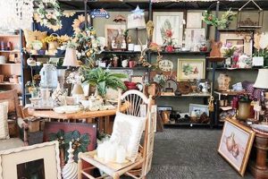 Shop Jacksonville's Vintage Stores: Unique Finds & More | Vintage Treasures: Discover Rare Antiques, Collectibles & Retro Finds