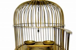 Antique Vintage Brass Bird Cage Decor Ideas & More | Vintage Treasures: Discover Rare Antiques, Collectibles & Retro Finds