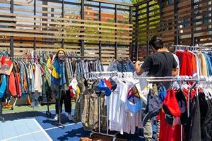 Explore Vintage Stores Asheville: Unique Finds Await! | Vintage Treasures: Discover Rare Antiques, Collectibles & Retro Finds