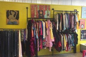 Shop Baltimore Vintage Clothing Stores: Your Style! | Vintage Treasures: Discover Rare Antiques, Collectibles & Retro Finds