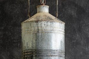 Rustic Charm: Vintage Farmhouse Pendant Lights for Your Home | Vintage Treasures: Discover Rare Antiques, Collectibles & Retro Finds