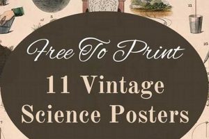 Discover Vintage Scientific Posters: Art & Science! | Vintage Treasures: Discover Rare Antiques, Collectibles & Retro Finds